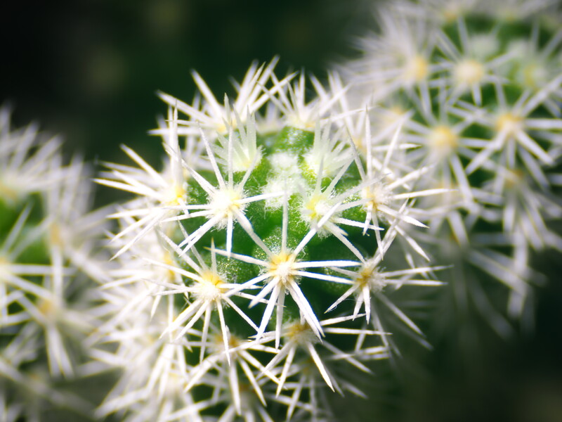 Flashlight illuminated, 1/60, ISO 100