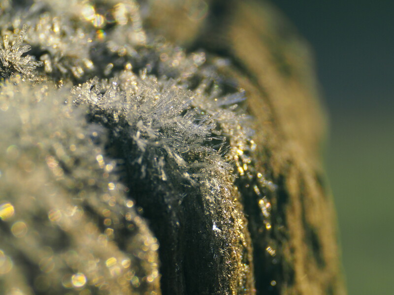 Ice on a wooden stick.