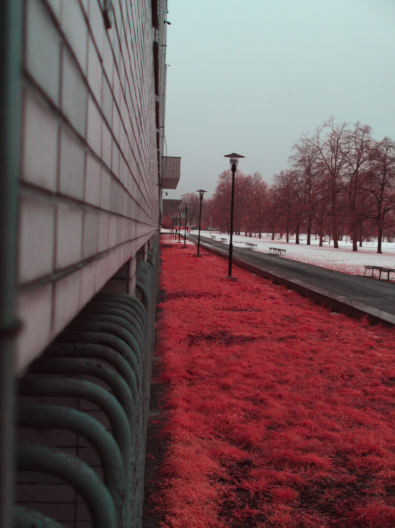 Grassy strip taken with the E-PL3 full spectrum converted camera and a 580nm IR pass filter.